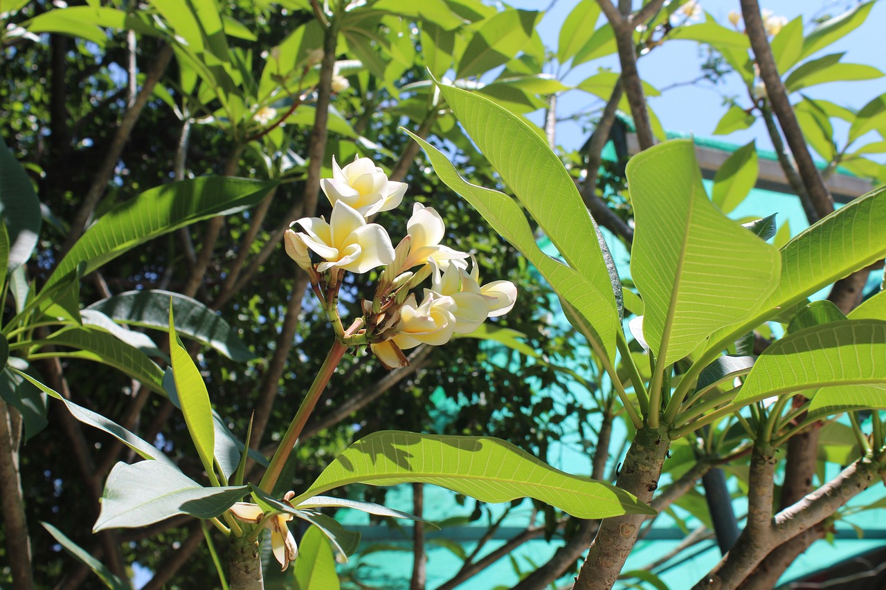 临夏北塬机场最新动态更新，最新消息汇总